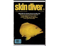Skin Diver magazine February 1977