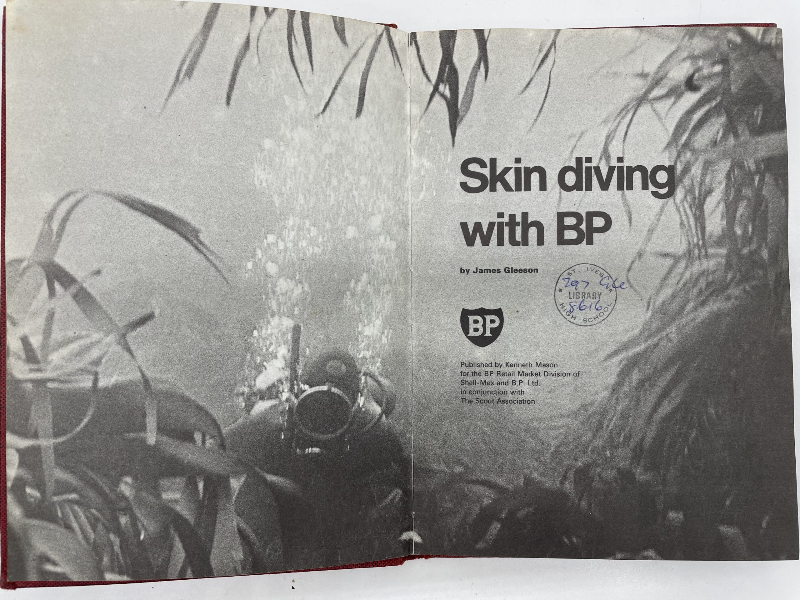 Skin Diving with BP