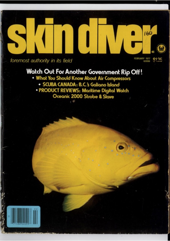 Skin Diver magazine February 1977